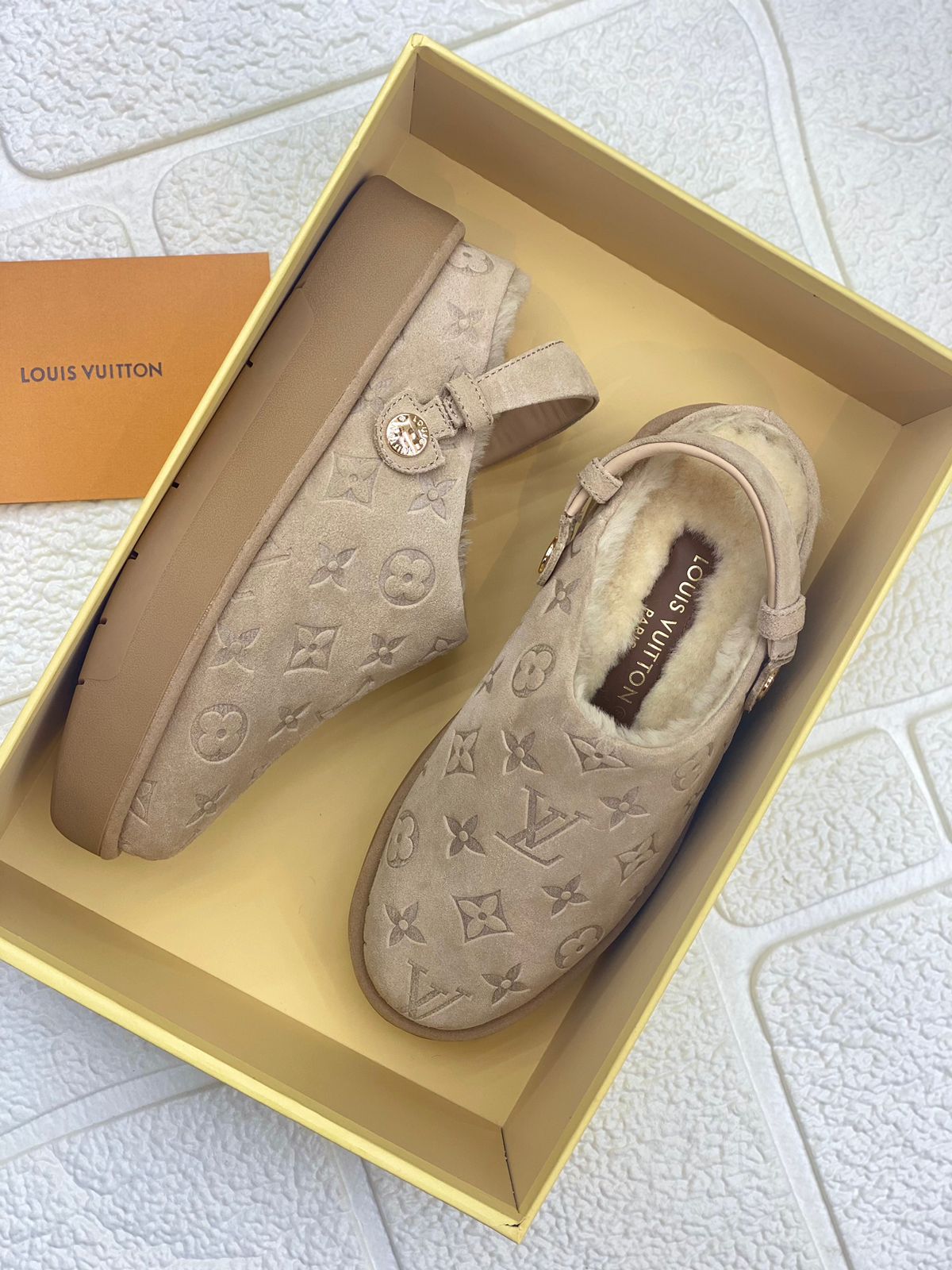 Louis Vuitton Warm Skin Shoes